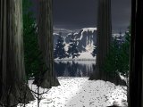 loading Forest